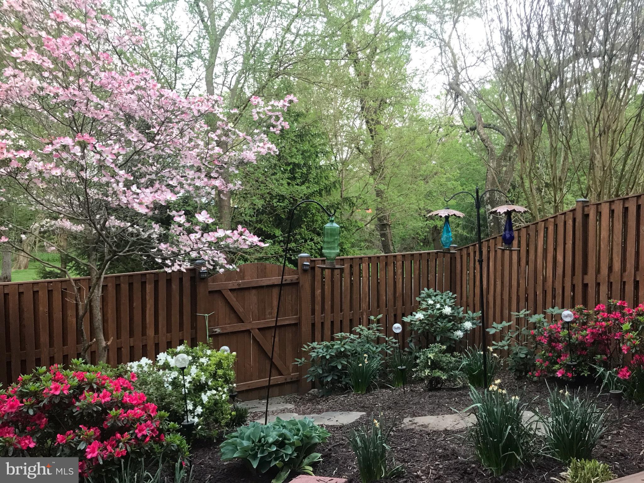 109 Maximillian Court Southwest Leesburg, VA 20175 - Photo 27 of 27 Back Yard in spring
