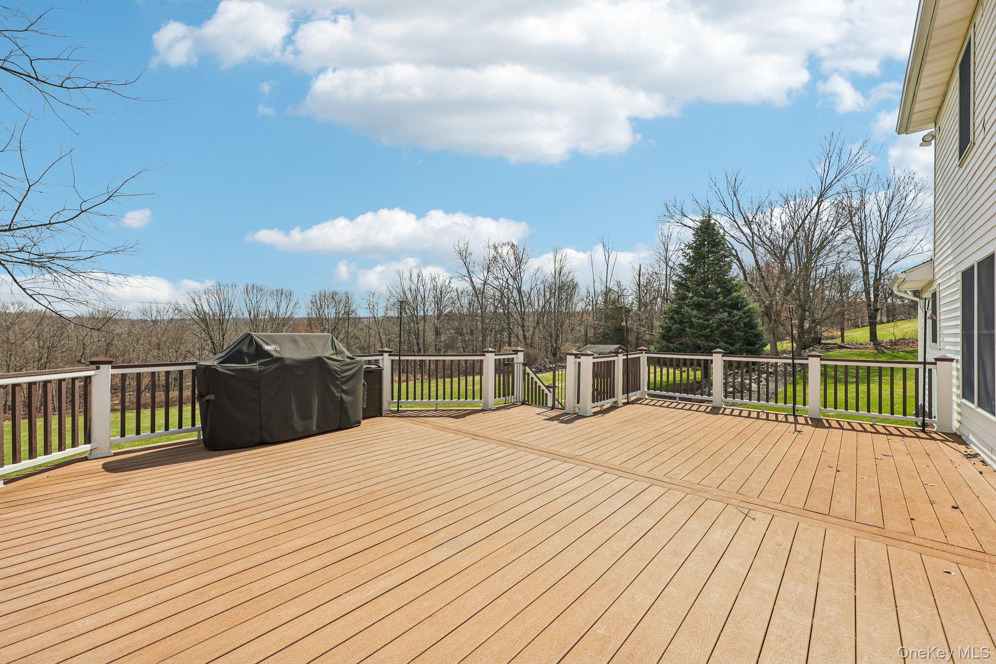 55 Beverly Road Chester, NY 10918 - Photo 42 of 48