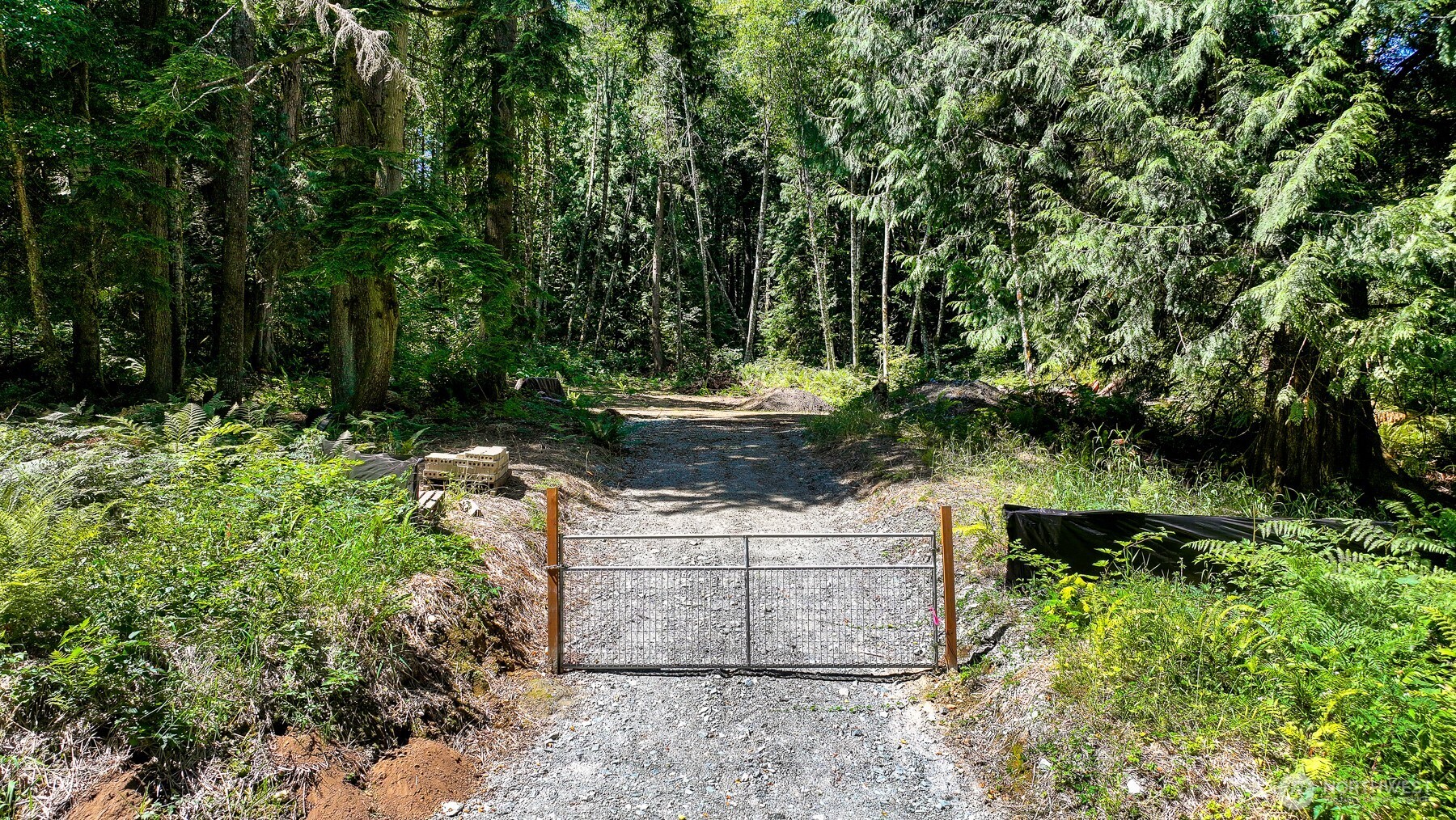 471 Summerland Road Bellingham, WA 98229 - Photo 1 of 18 a view of a garden with plants