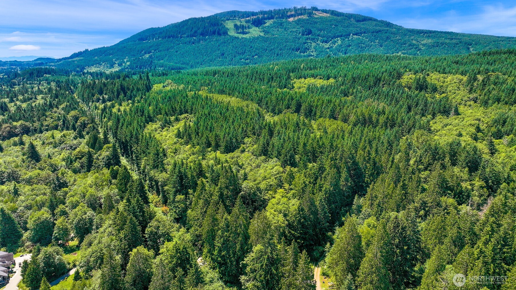 471 Summerland Road Bellingham, WA 98229 - Photo 12 of 18 a view of a lush green forest with a mountain