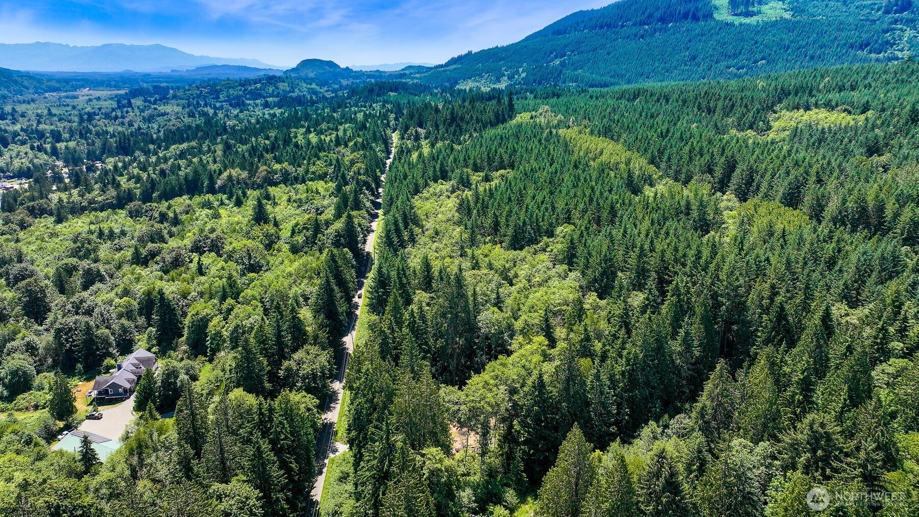 471 Summerland Road Bellingham, WA 98229 - Photo 13 of 18 a view of a lush green forest with a houses