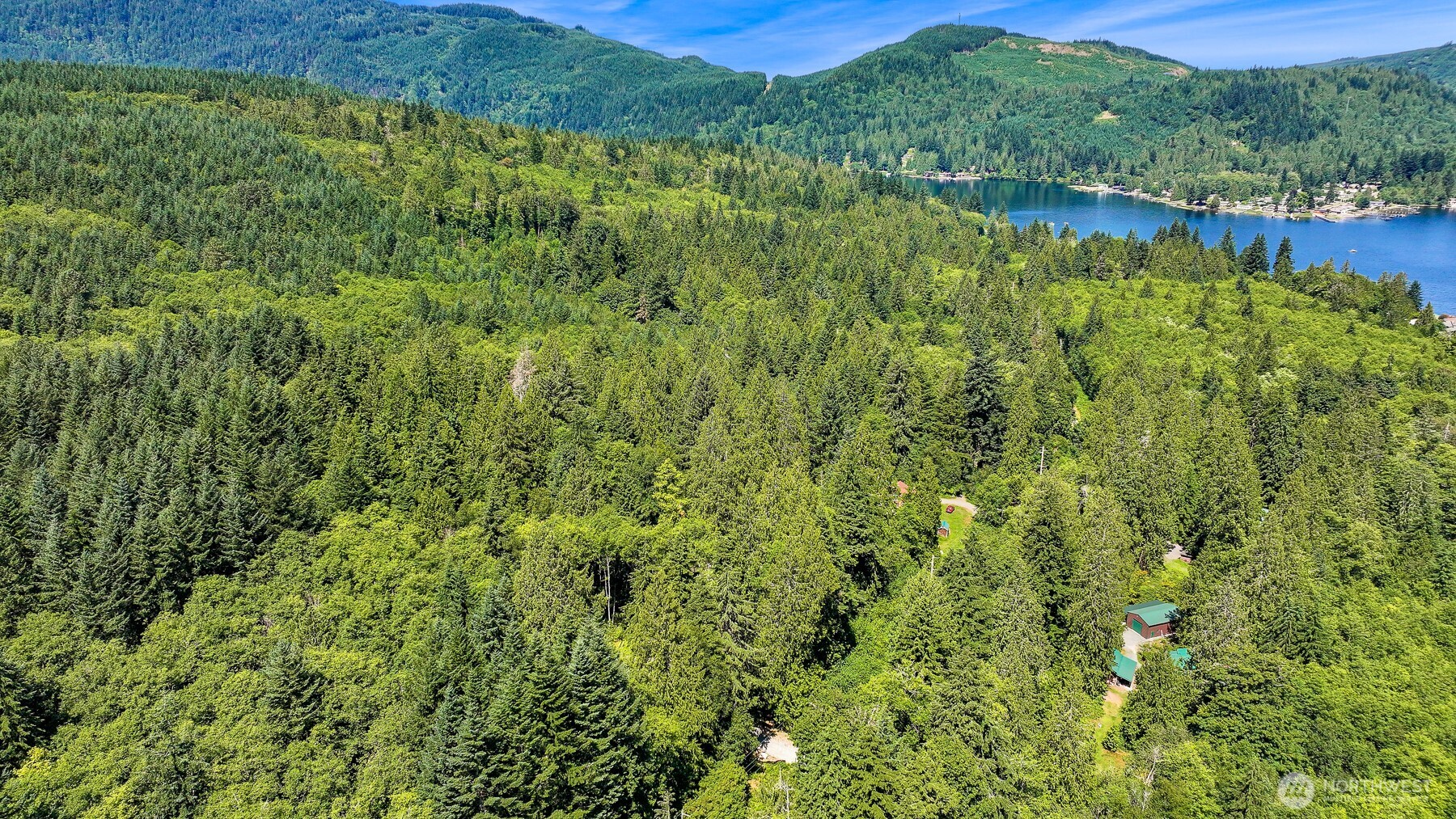 471 Summerland Road Bellingham, WA 98229 - Photo 14 of 18 a view of a lush green forest with houses