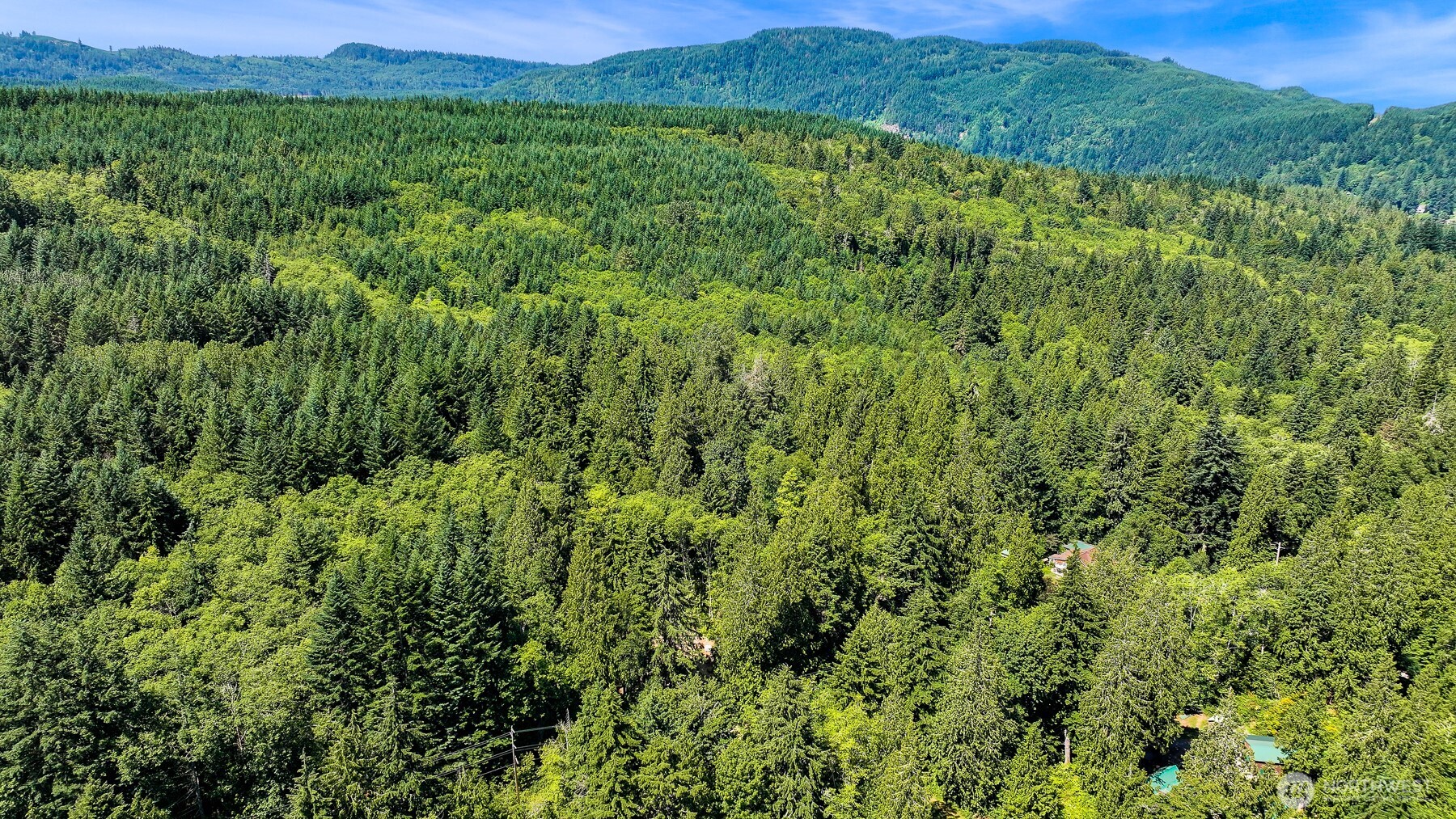 471 Summerland Road Bellingham, WA 98229 - Photo 15 of 18 a view of a lush green outdoor space with a lake view