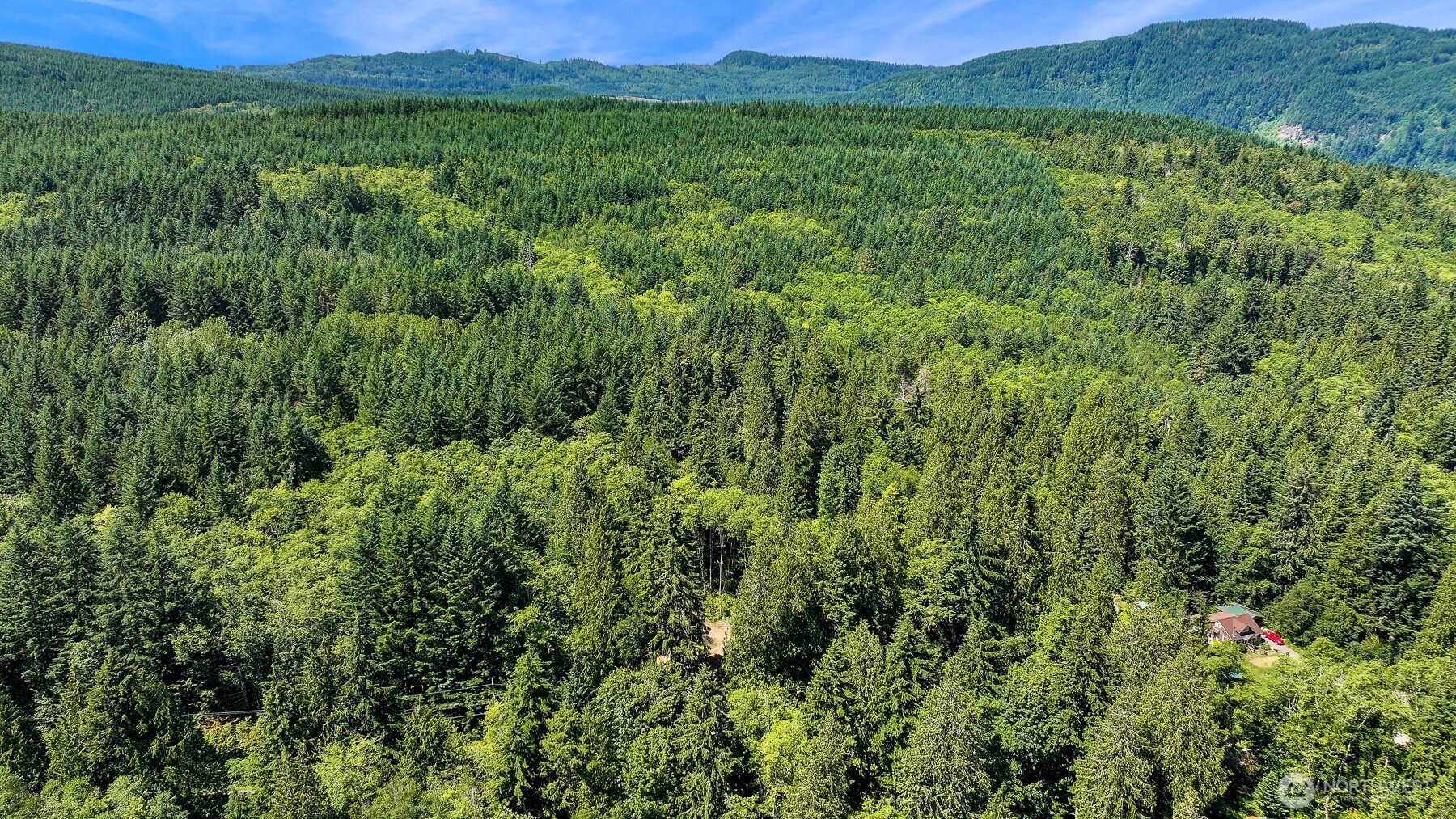 471 Summerland Road Bellingham, WA 98229 - Photo 16 of 18 a view of a lush green outdoor space with a mountain in the background
