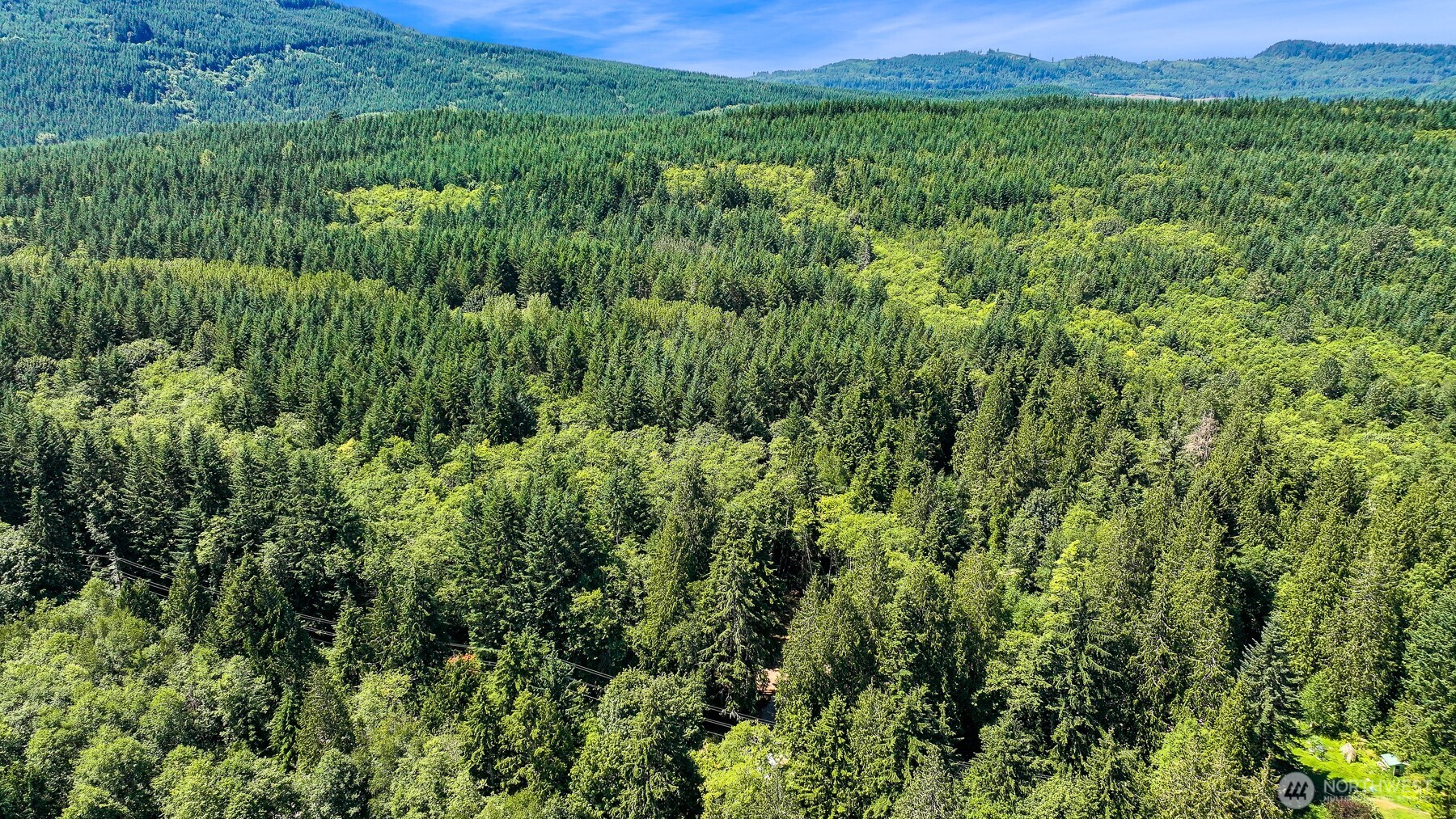471 Summerland Road Bellingham, WA 98229 - Photo 17 of 18 a view of a lush green outdoor space with a lake view
