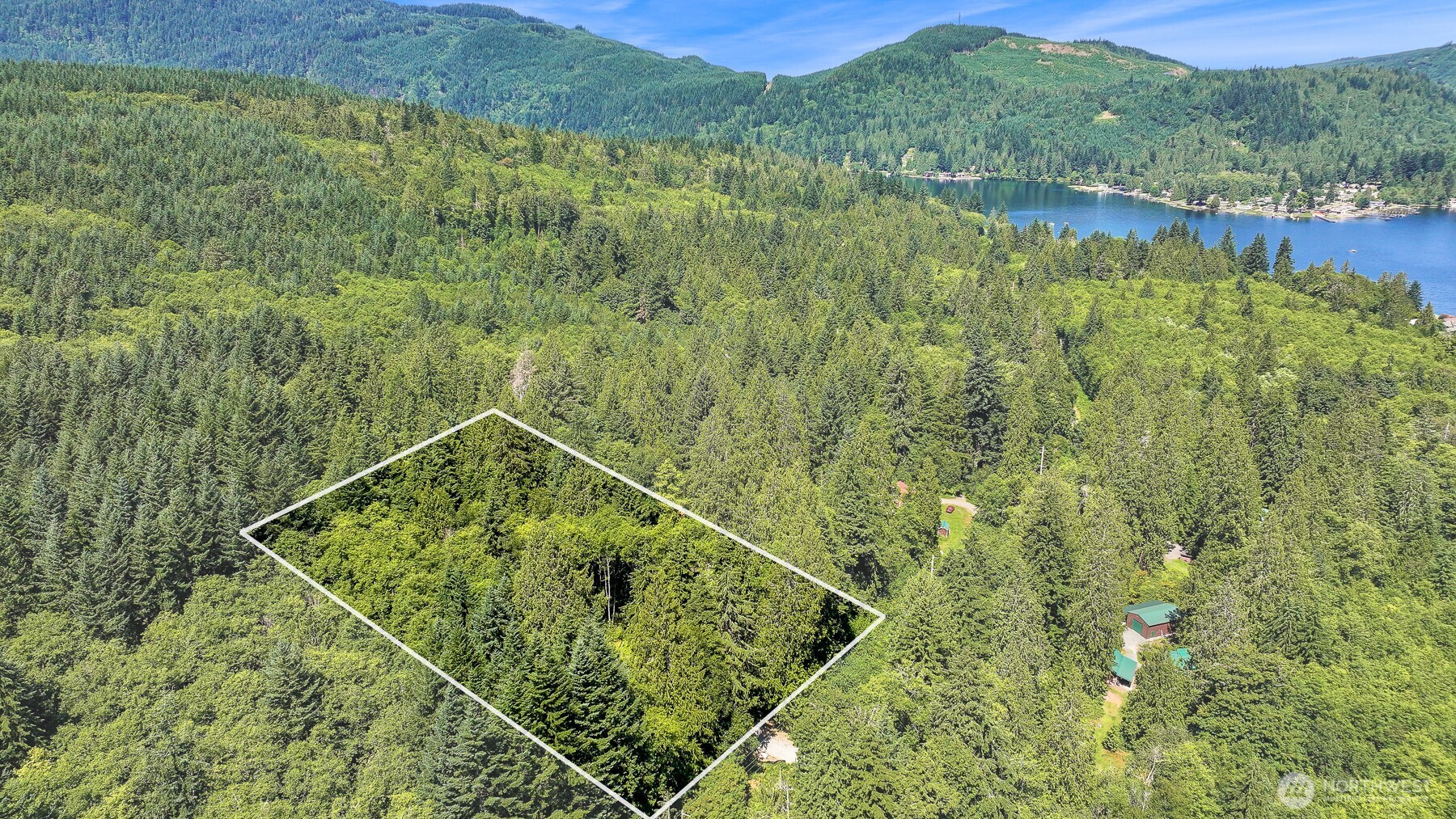 471 Summerland Road Bellingham, WA 98229 - Photo 3 of 18 a view of a lush green forest with a lake