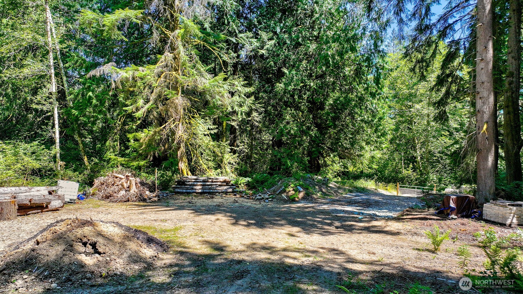 471 Summerland Road Bellingham, WA 98229 - Photo 6 of 18 a view of yard with tree