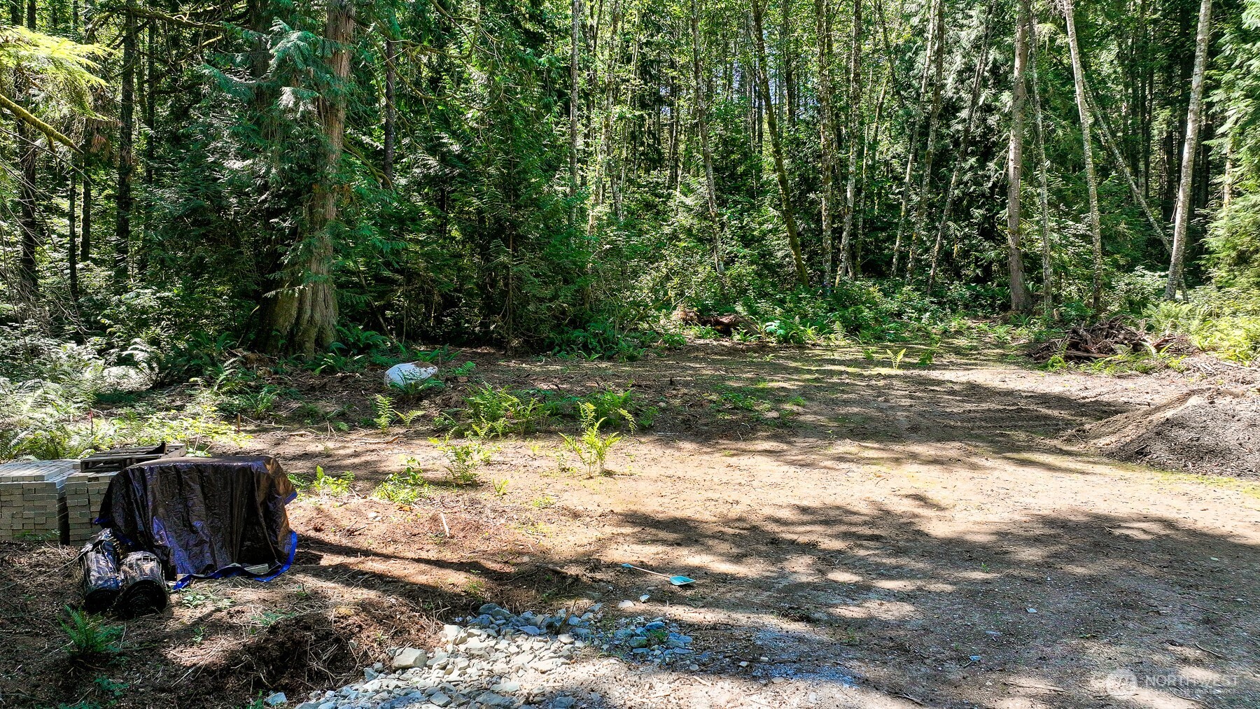 471 Summerland Road Bellingham, WA 98229 - Photo 7 of 18 a view of a backyard with trees