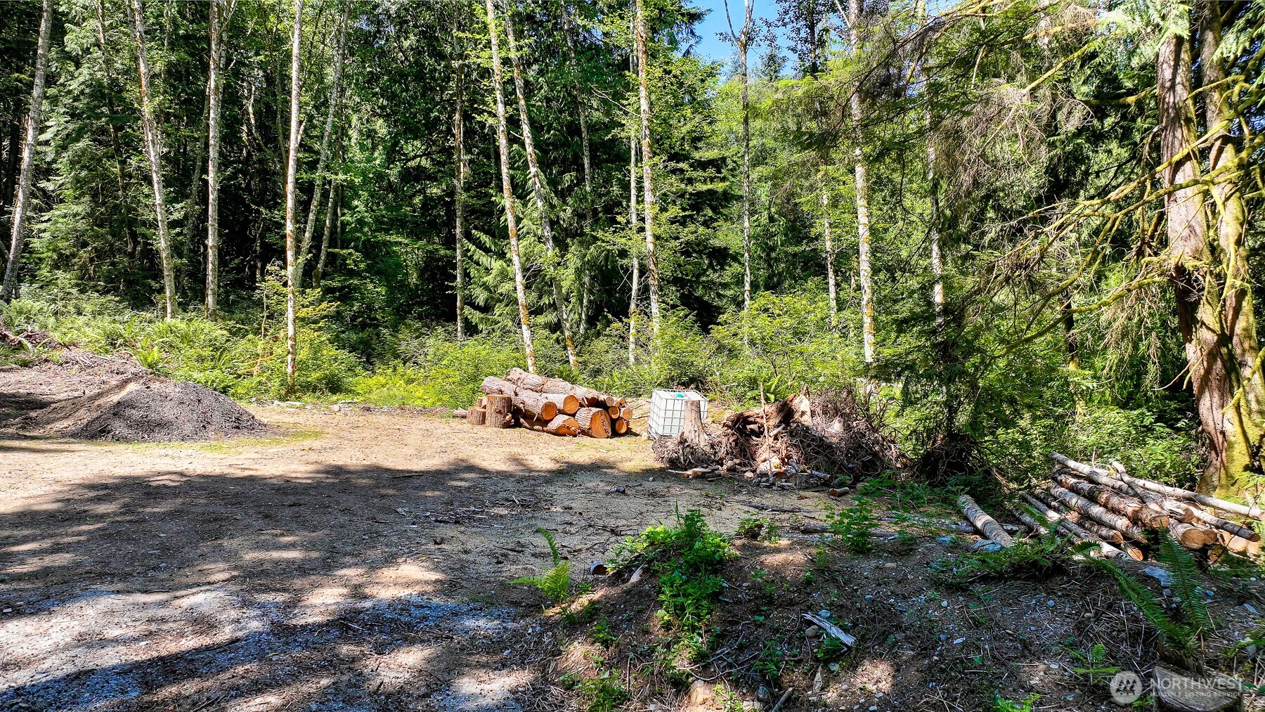 471 Summerland Road Bellingham, WA 98229 - Photo 8 of 18 a view of a field with plants and trees
