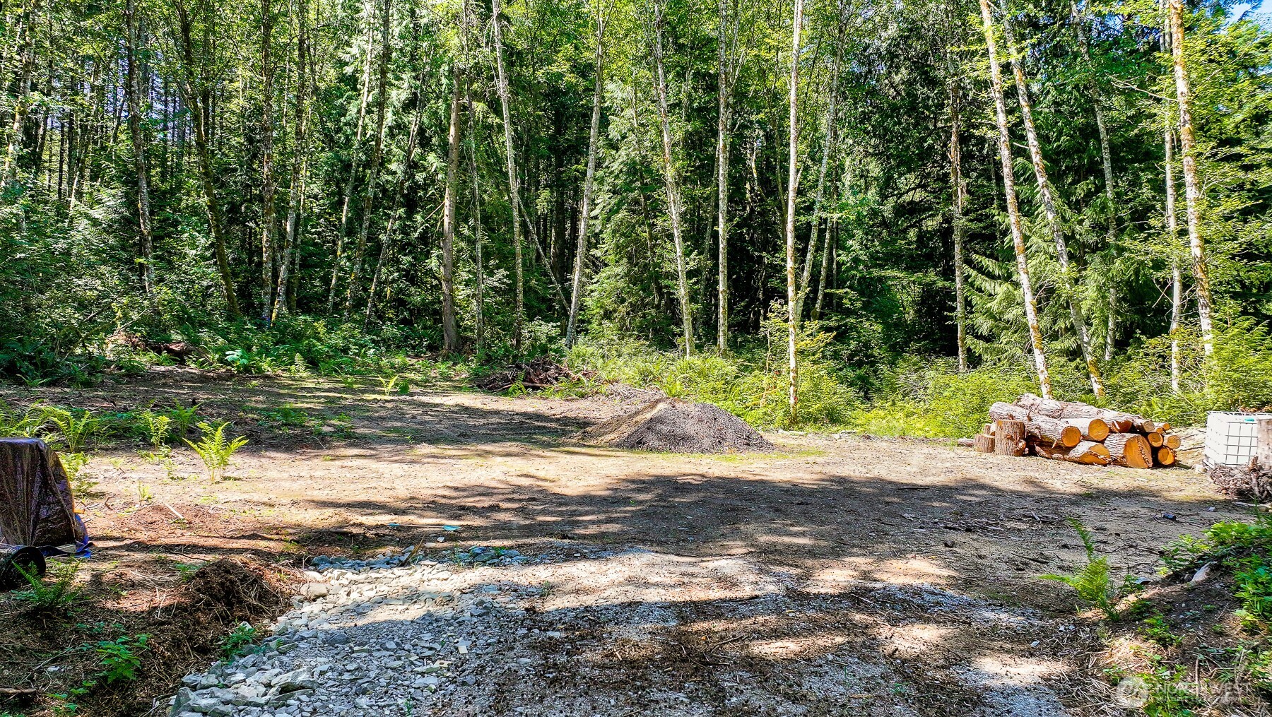 471 Summerland Road Bellingham, WA 98229 - Photo 9 of 18 a backyard of a house with lots of green space and trees