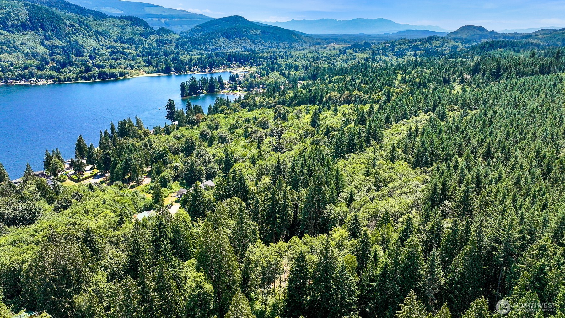 471 Summerland Road Bellingham, WA 98229 - Photo 10 of 18 a view of a and green field with a tree in the background