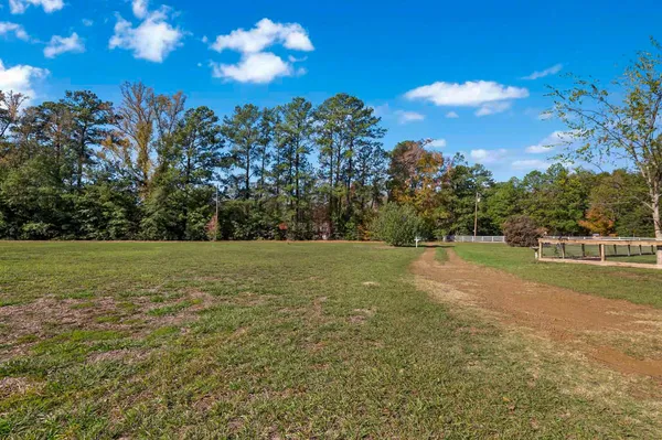 a view of a green field