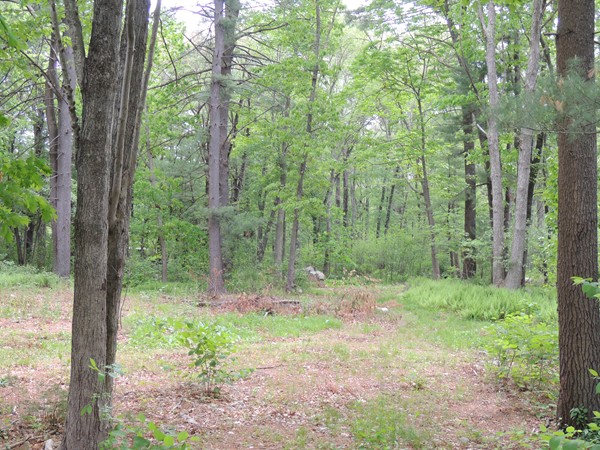 7 Oakland Road North Reading, MA 01864 - Photo 3 of 4 Gallery Image 3