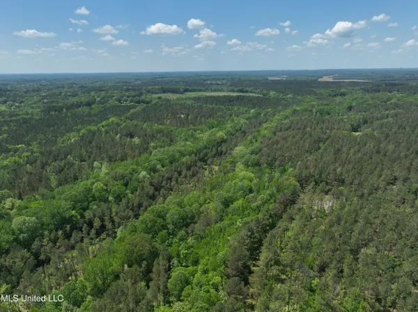 $1,036,750 | 409 Cr Rienzi Ms 38865, Rienzi, MS 38865