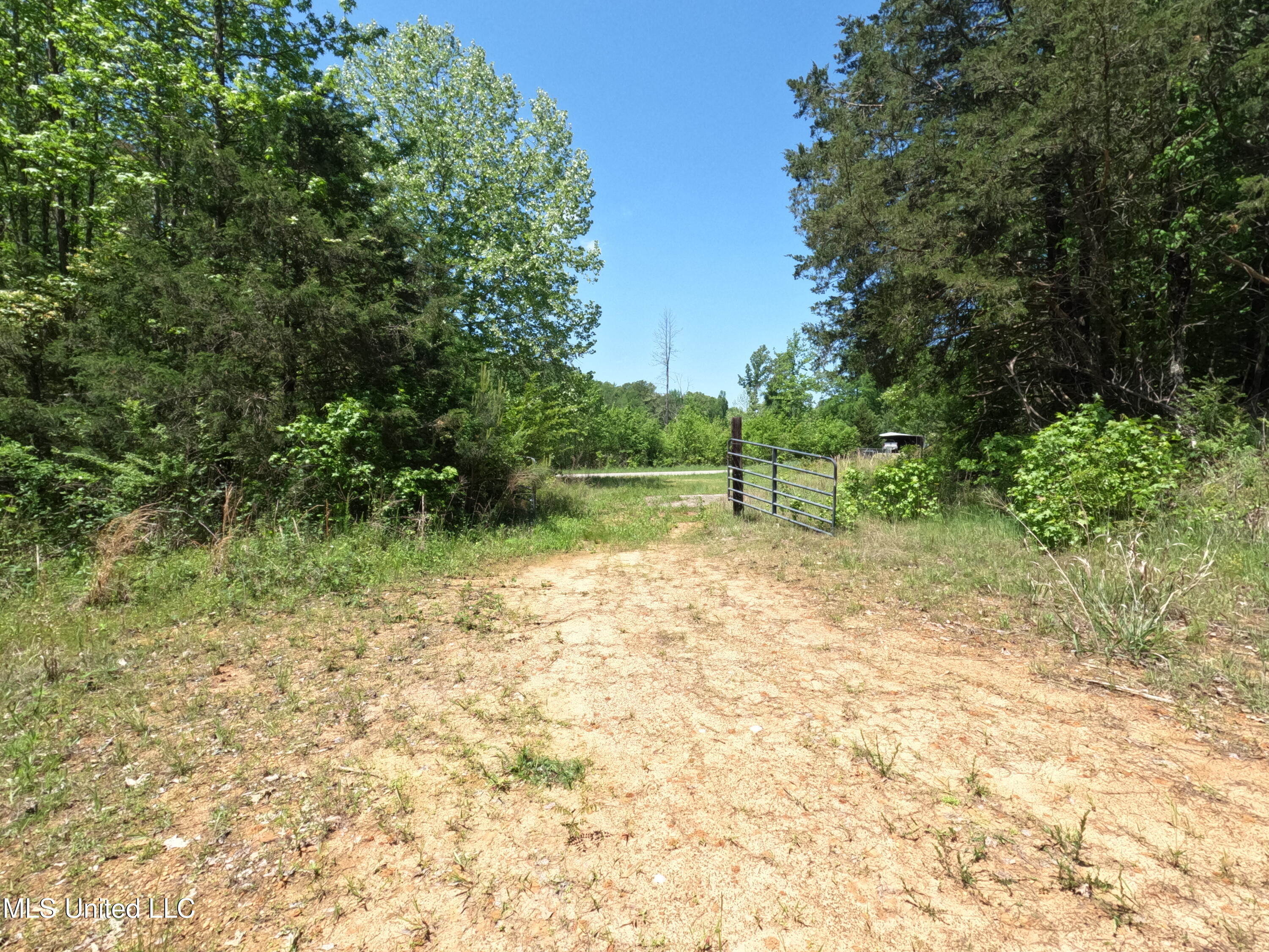 409 Cr Rienzi Ms 38865 Rienzi, MS 38865 - Photo 11 of 43 GOPR0161