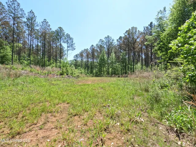 $1,036,750 | 409 Cr Rienzi Ms 38865, Rienzi, MS 38865