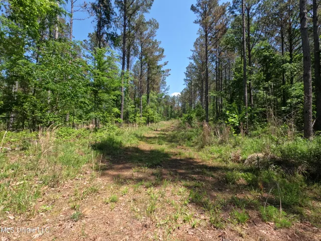 $1,036,750 | 409 Cr Rienzi Ms 38865, Rienzi, MS 38865