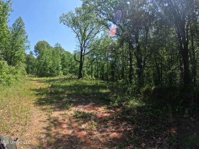 $1,036,750 | 409 Cr Rienzi Ms 38865, Rienzi, MS 38865