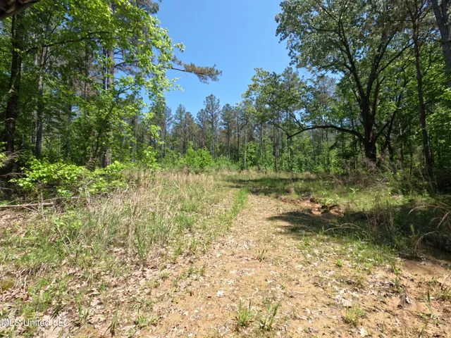 $1,036,750 | 409 Cr Rienzi Ms 38865, Rienzi, MS 38865