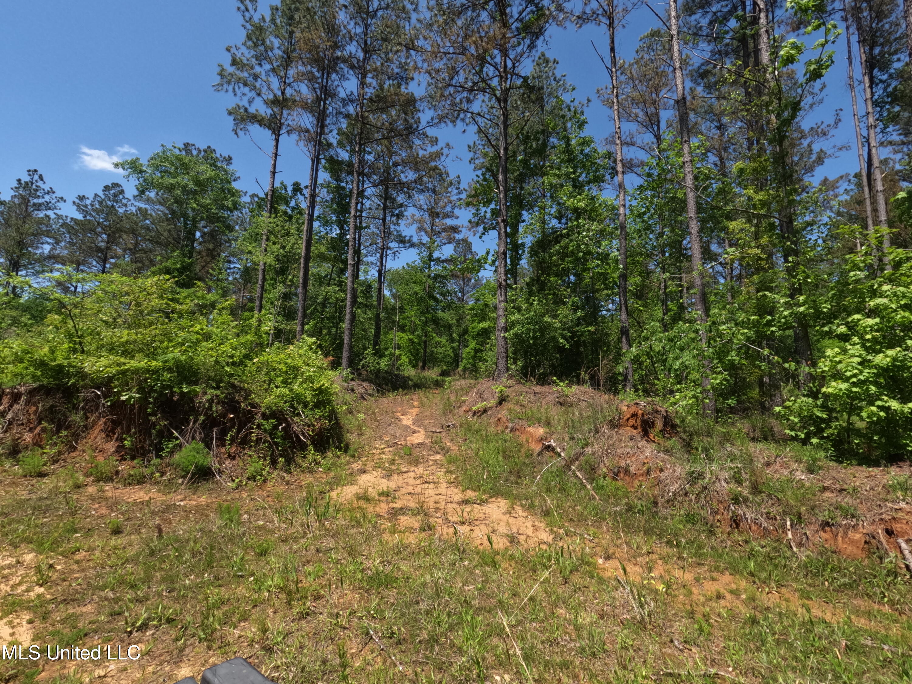 409 Cr Rienzi Ms 38865 Rienzi, MS 38865 - Photo 16 of 43 GOPR0171