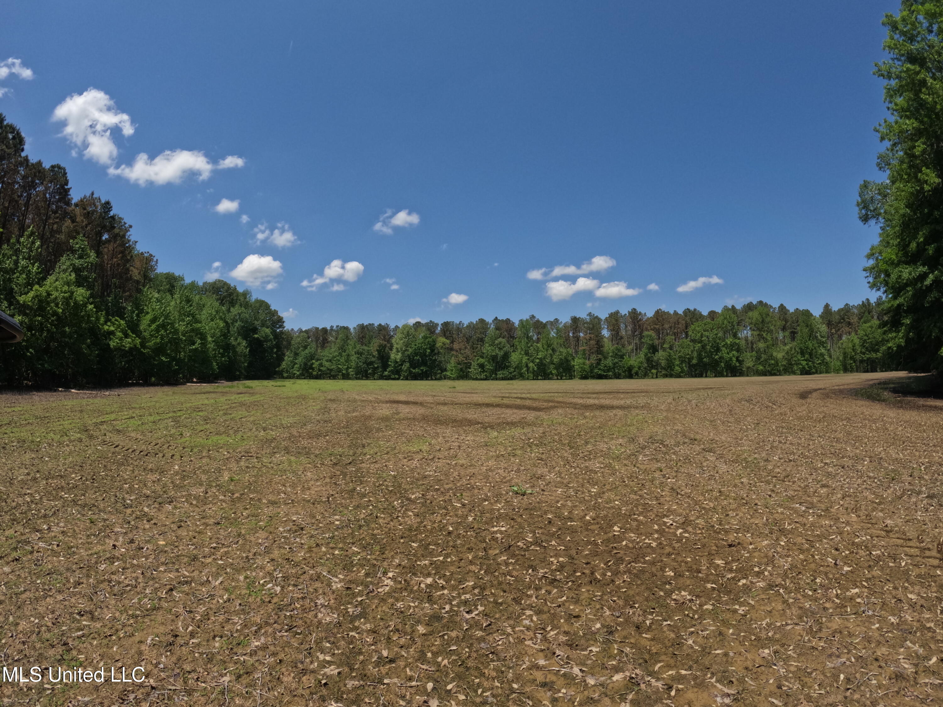 409 Cr Rienzi Ms 38865 Rienzi, MS 38865 - Photo 17 of 43 GOPR0186