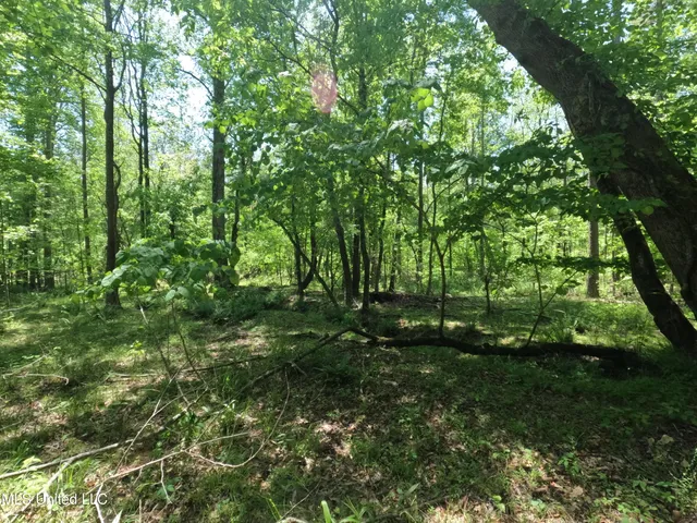 $1,036,750 | 409 Cr Rienzi Ms 38865, Rienzi, MS 38865