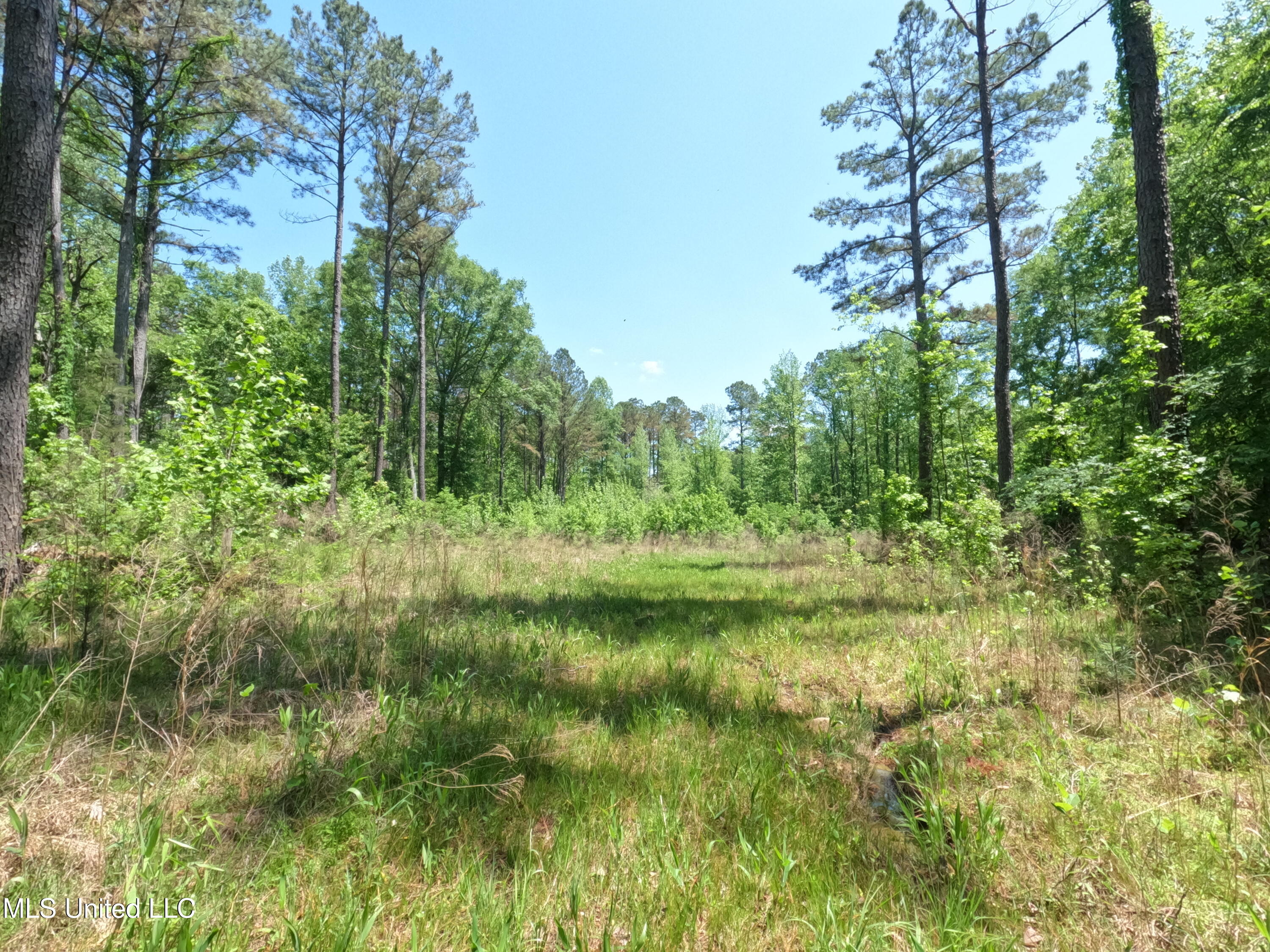 409 Cr Rienzi Ms 38865 Rienzi, MS 38865 - Photo 19 of 43 GOPR0182