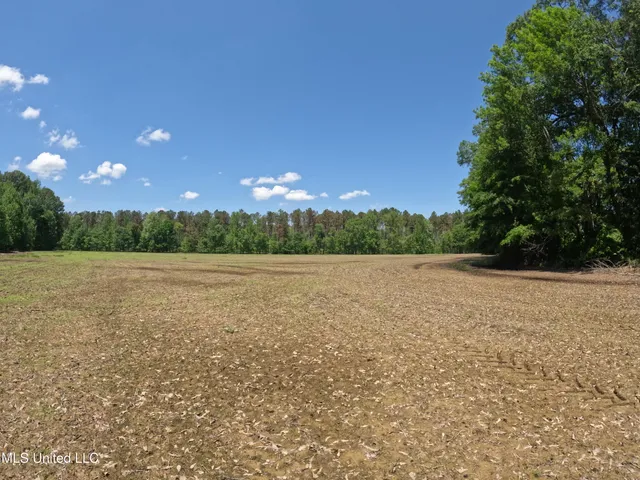 $1,036,750 | 409 Cr Rienzi Ms 38865, Rienzi, MS 38865