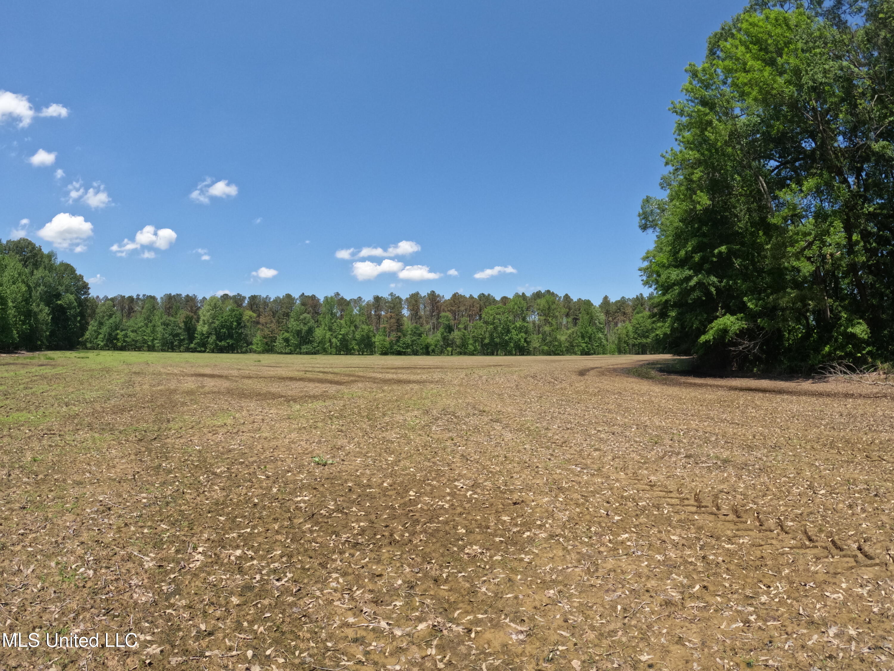 409 Cr Rienzi Ms 38865 Rienzi, MS 38865 - Photo 20 of 43 GOPR0187