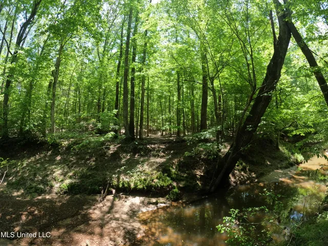 $1,036,750 | 409 Cr Rienzi Ms 38865, Rienzi, MS 38865