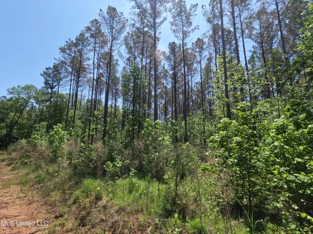 $1,036,750 | 409 Cr Rienzi Ms 38865, Rienzi, MS 38865