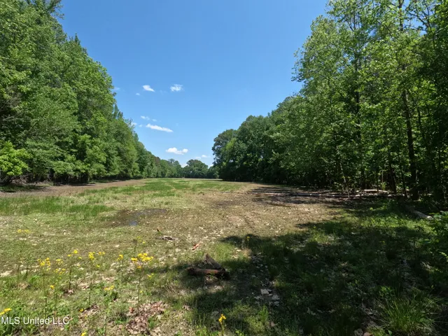 $1,036,750 | 409 Cr Rienzi Ms 38865, Rienzi, MS 38865