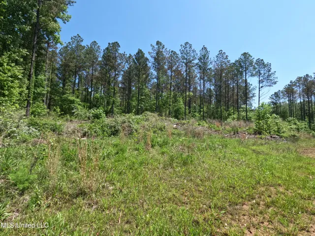 $1,036,750 | 409 Cr Rienzi Ms 38865, Rienzi, MS 38865