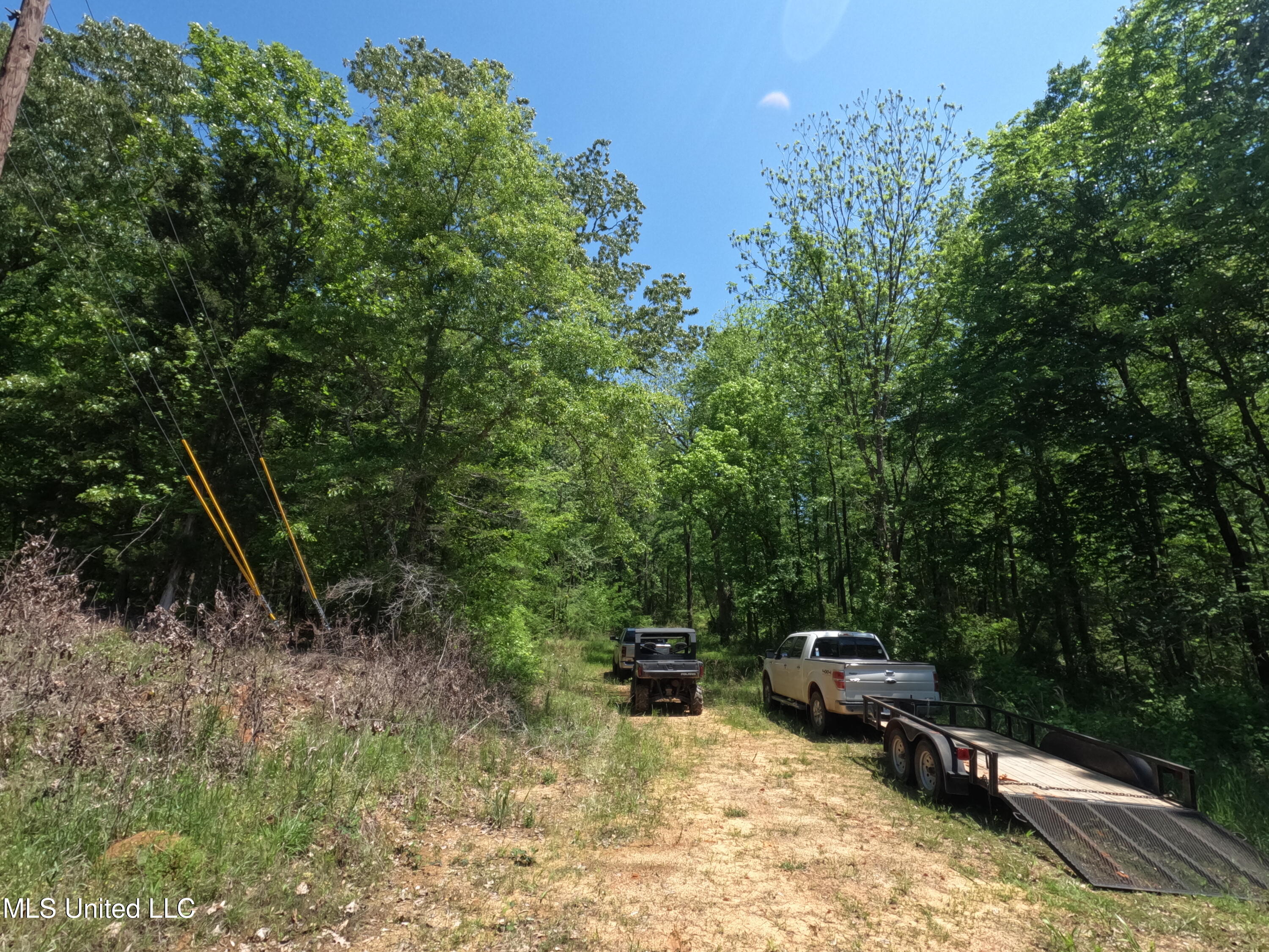 409 Cr Rienzi Ms 38865 Rienzi, MS 38865 - Photo 24 of 43 GOPR0162