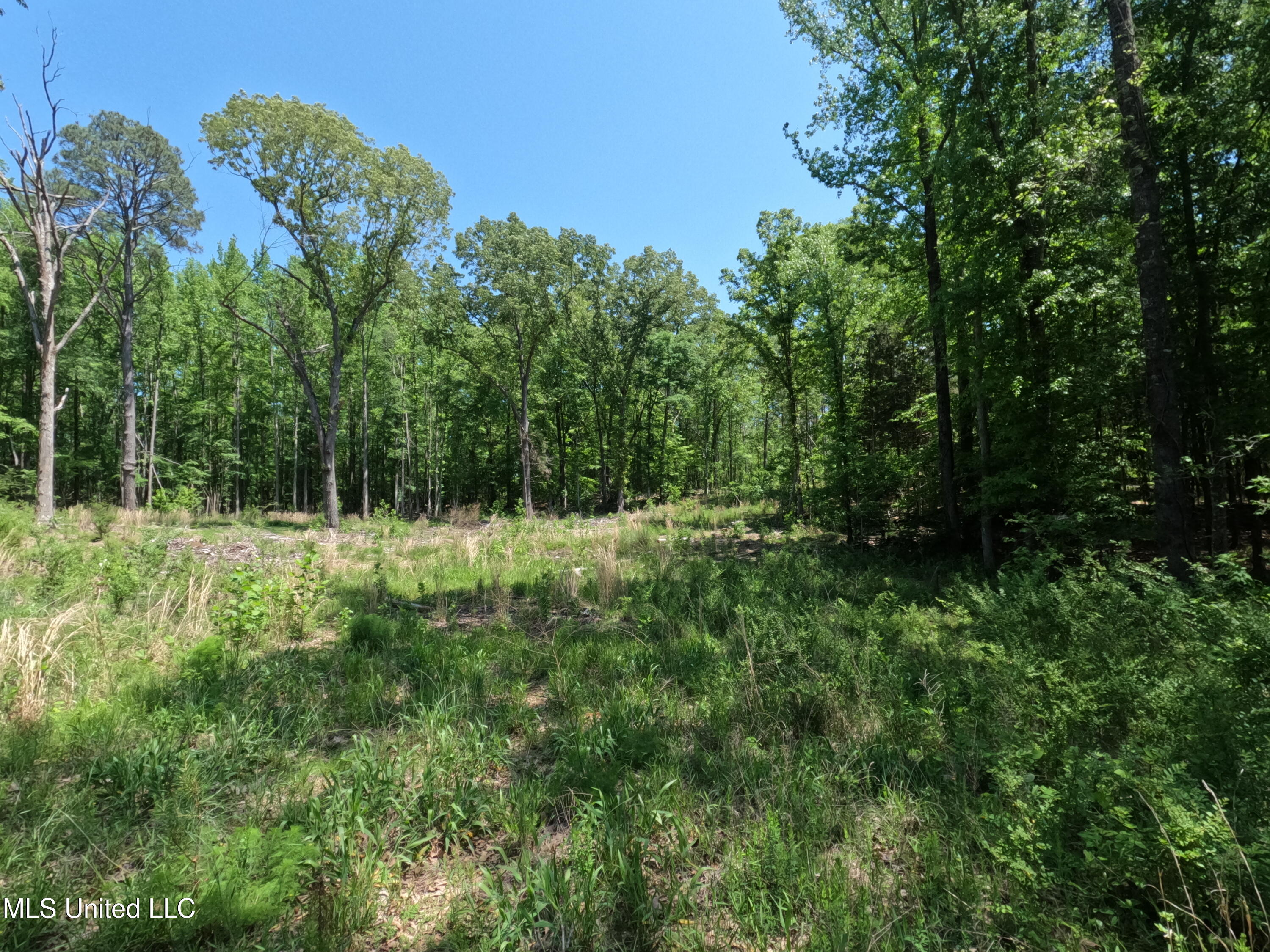 409 Cr Rienzi Ms 38865 Rienzi, MS 38865 - Photo 25 of 43 GOPR0168