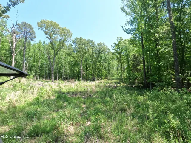 $1,036,750 | 409 Cr Rienzi Ms 38865, Rienzi, MS 38865