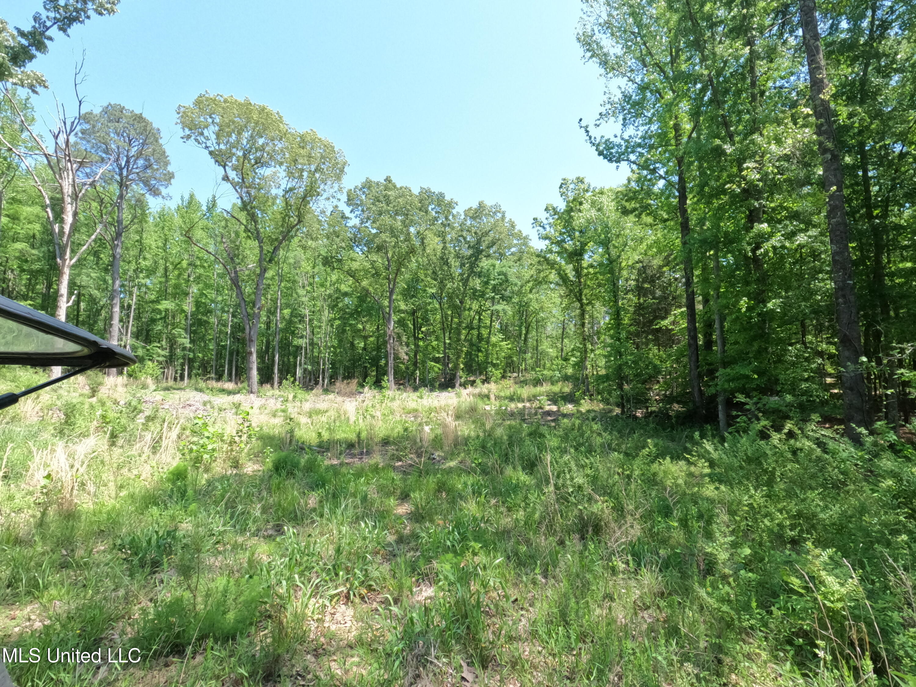 409 Cr Rienzi Ms 38865 Rienzi, MS 38865 - Photo 26 of 43 GOPR0167