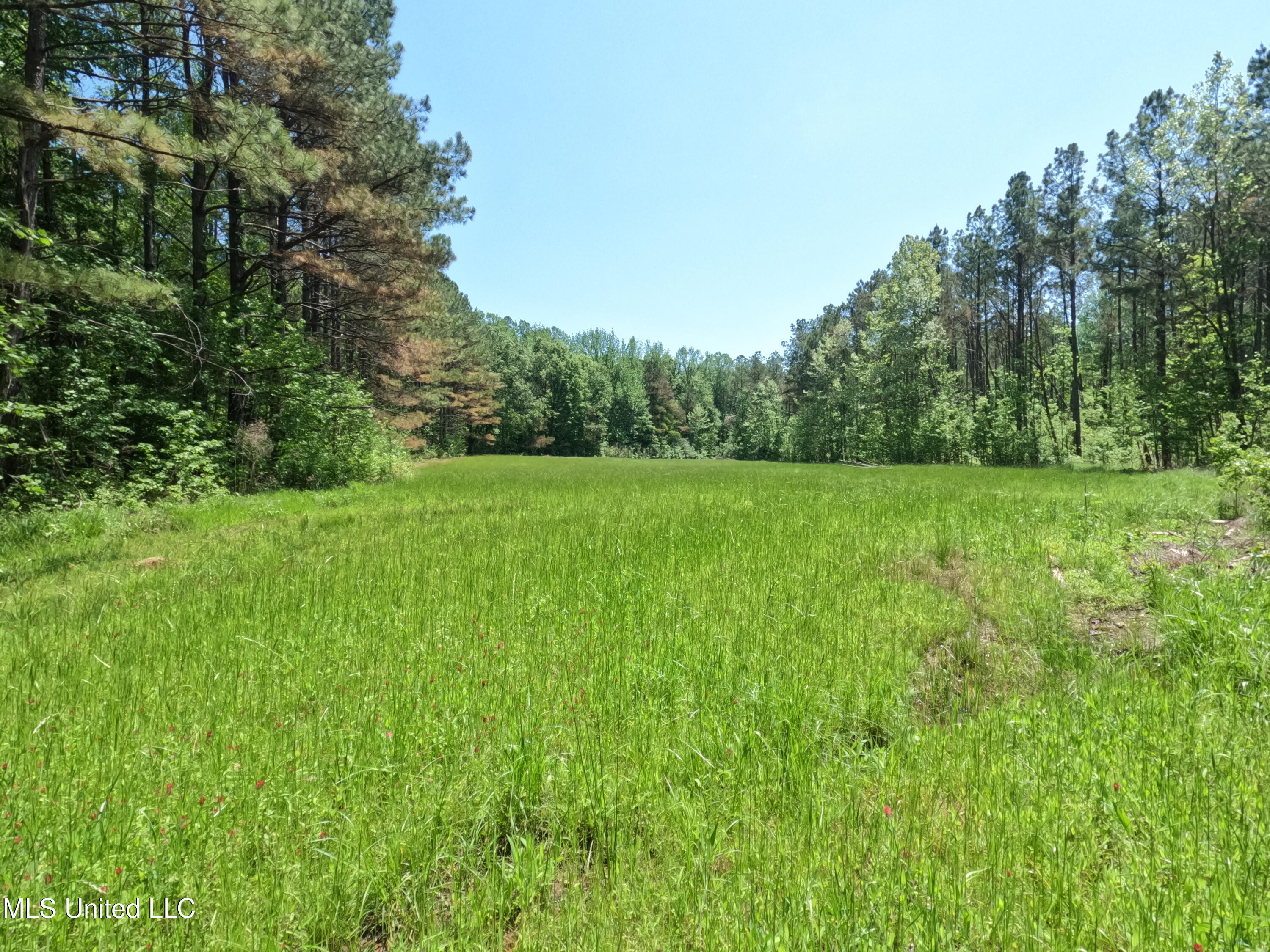 409 Cr Rienzi Ms 38865 Rienzi, MS 38865 - Photo 27 of 43 GOPR0170