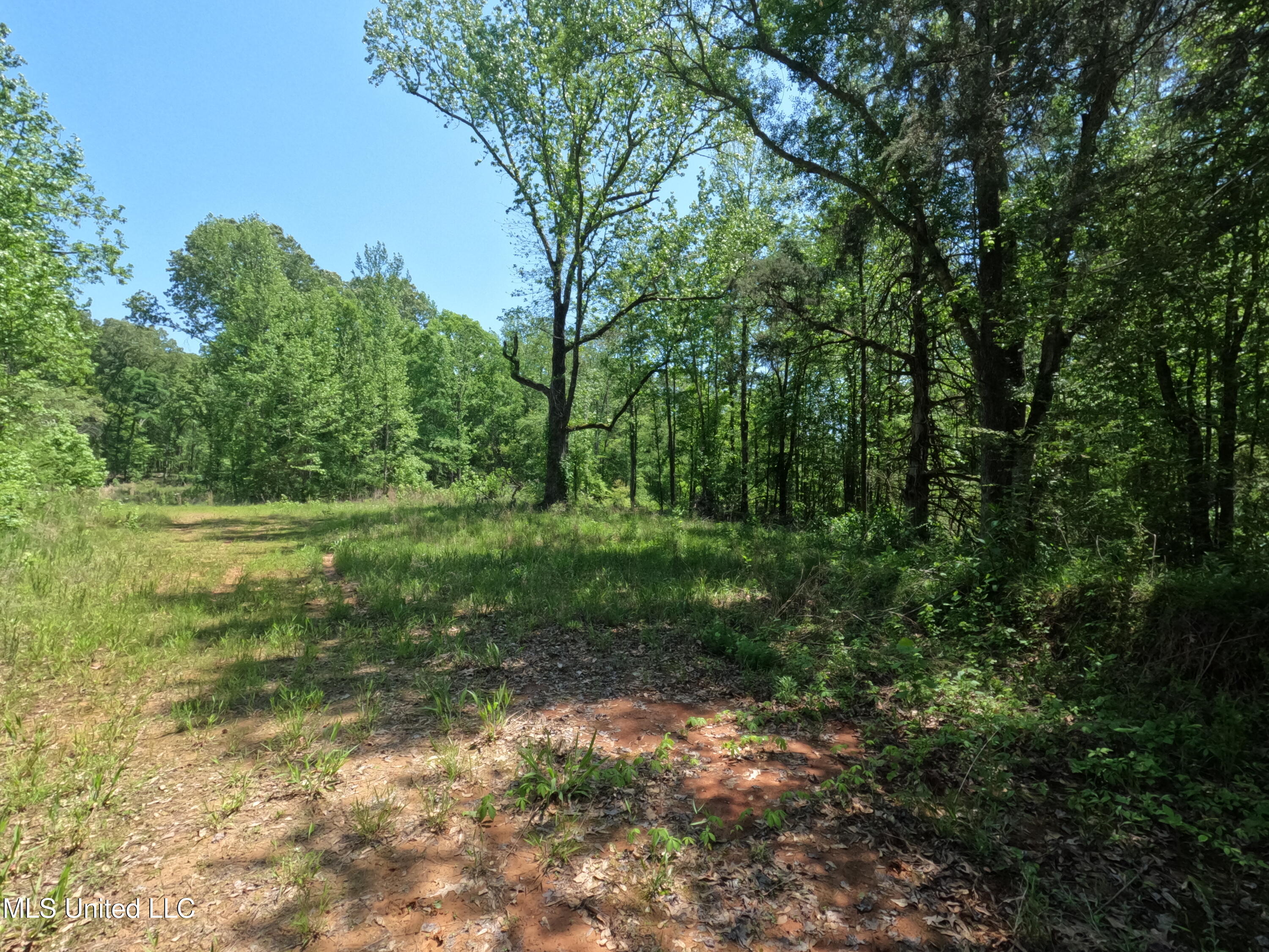 409 Cr Rienzi Ms 38865 Rienzi, MS 38865 - Photo 29 of 43 GOPR0165