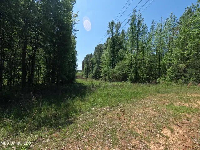 $1,036,750 | 409 Cr Rienzi Ms 38865, Rienzi, MS 38865