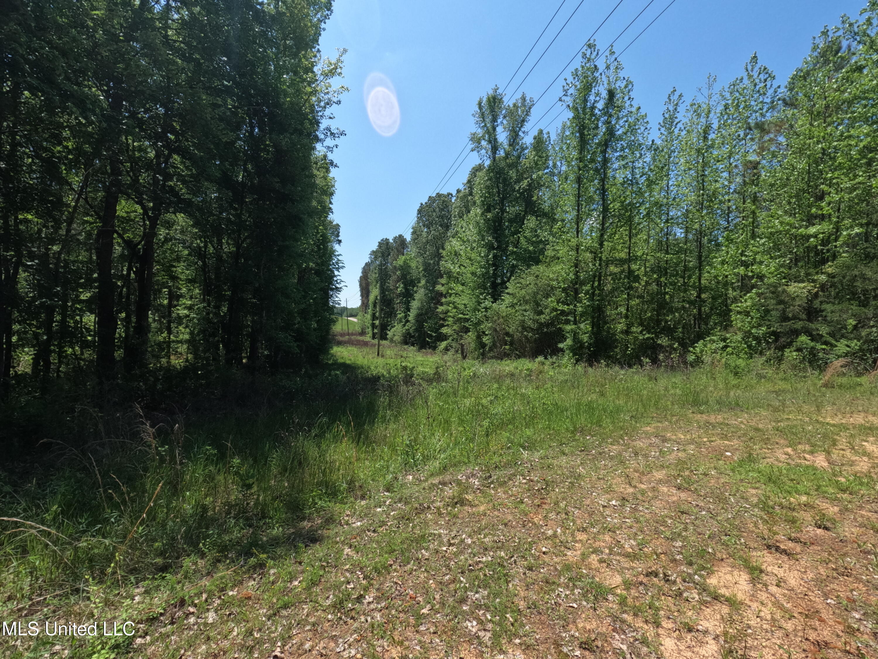 409 Cr Rienzi Ms 38865 Rienzi, MS 38865 - Photo 30 of 43 GOPR0160