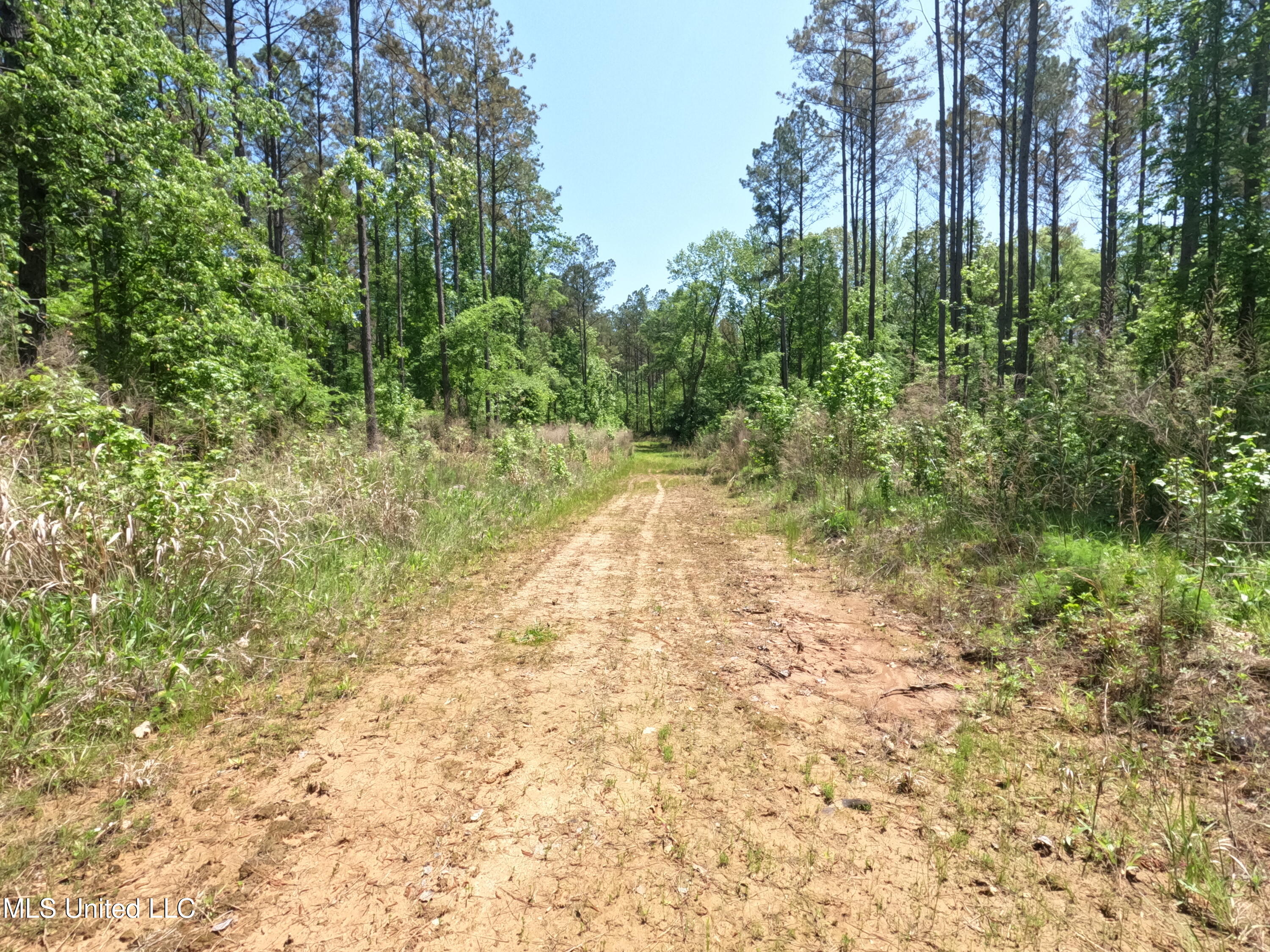 409 Cr Rienzi Ms 38865 Rienzi, MS 38865 - Photo 3 of 43 GOPR0175