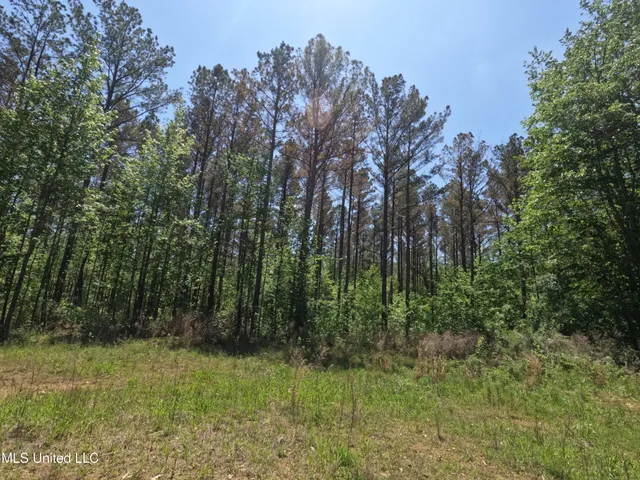 $1,036,750 | 409 Cr Rienzi Ms 38865, Rienzi, MS 38865