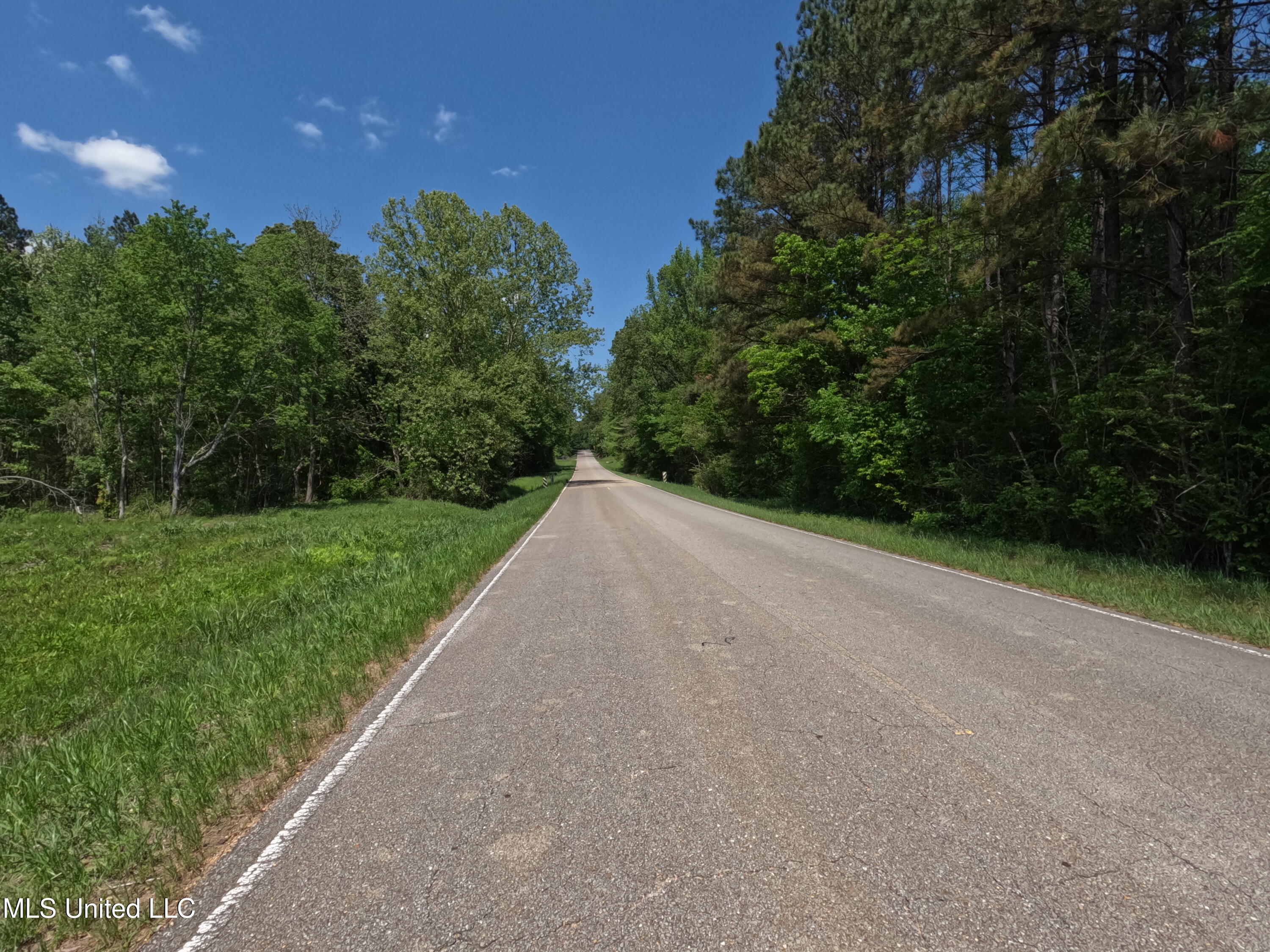 409 Cr Rienzi Ms 38865 Rienzi, MS 38865 - Photo 32 of 43 GOPR0204