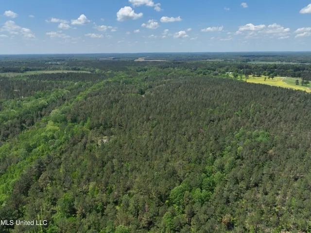 $1,036,750 | 409 Cr Rienzi Ms 38865, Rienzi, MS 38865