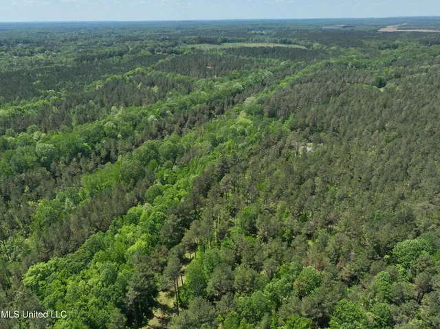 $1,036,750 | 409 Cr Rienzi Ms 38865, Rienzi, MS 38865