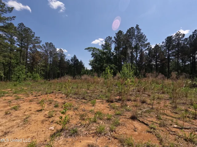 $1,036,750 | 409 Cr Rienzi Ms 38865, Rienzi, MS 38865