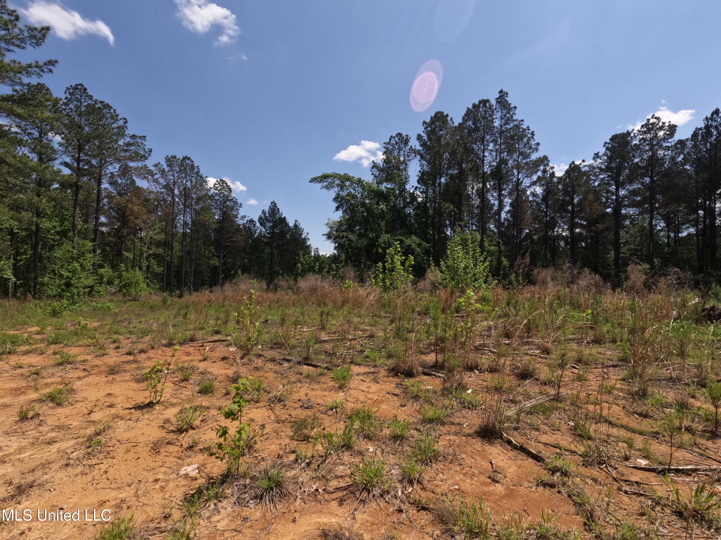 409 Cr Rienzi Ms 38865 Rienzi, MS 38865 - Photo 35 of 43 GOPR0202