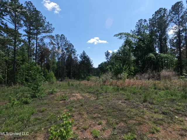 $1,036,750 | 409 Cr Rienzi Ms 38865, Rienzi, MS 38865