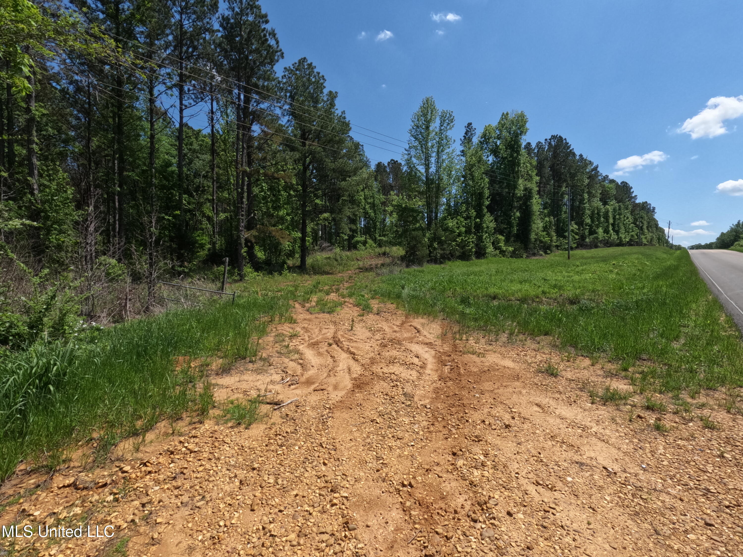 409 Cr Rienzi Ms 38865 Rienzi, MS 38865 - Photo 37 of 43 GOPR0197